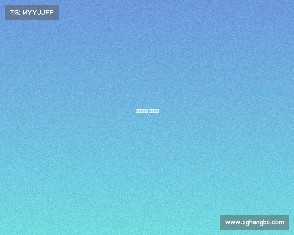 赛事专家组 赛事专属